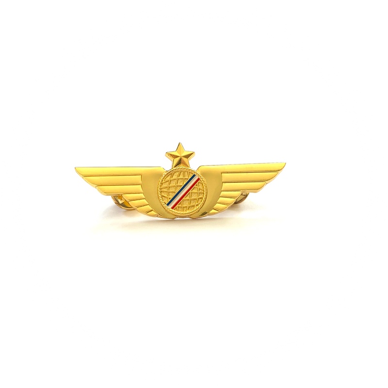 Wing Pin Air France