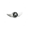 Wing Pin Jetstar