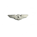 Wing Pin Pilot Star (silver)