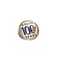 Pin DELTA AIR LINES 100 YEARS centennial anniversary (silver pin)