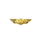 Wing Pin Airbus A320 Gold