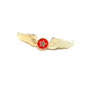 Wings Pin EDELWEISS AIR airlines Logo