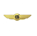 Wing Pin Qatar Airways
