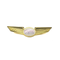 Wing Pin WIZZ AIR (WIZZAIR) *pilot wings*