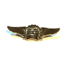 Wing Pin Boeing 737 silver (3-inch Version) Pilot Wings