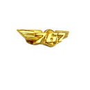 Wing Pin Boeing 767 gold