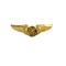 Drone Pilot Wings (Pilot Wing Pin) 3-inch