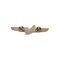 Wing Pin American Airlines AA (current) "Pilot Wings" 3-inch original size