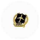 Pin Boeing 737 Emblem / Badge