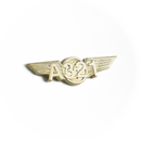 Wing Pin Airbus A321 Gold