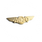 Wing Pin Airbus A330 Gold