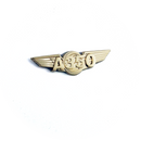 Wing Pin Airbus A350 Gold