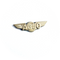 Wing Pin Airbus A350 Gold