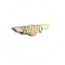 Wing Pin Airbus A380 Gold