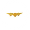 Wing Pin Aer Lingus Irish Airlines