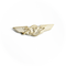 Wing Pin Boeing 737 gold