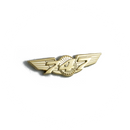 Wing Pin Boeing 747 gold