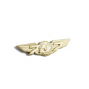 Wing Pin Boeing 757 gold