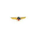 Wing Pin Cessna 150 Aircraft C150 (color logo)
