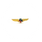 Wing Pin Cessna 150 Aircraft C150 (color logo)