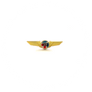 Wing Pin Cessna 172 Aircraft C172 (color logo)