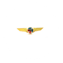 Wing Pin Cessna 182 Aircraft C182 (color logo)