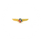 Wing Pin Cessna Aircraft (color logo)