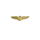 ATC Wings (Air Traffic Control Wing Pin)