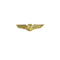 ATC Wings (Air Traffic Control Wing Pin)