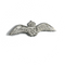 Wing Pin Royal Air Force - RAF