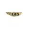 Wing Pin Embraer 145 E145 Gold