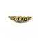 Wing Pin Embraer 170 E170 Gold