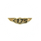 Wing Pin Embraer 175 E175 Gold