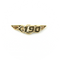 Wing Pin Embraer 190 E190 Gold