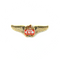 Wing Pin Piper Cub J-3 Bear Logo
