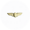 Wing Pin Continental Airlines
