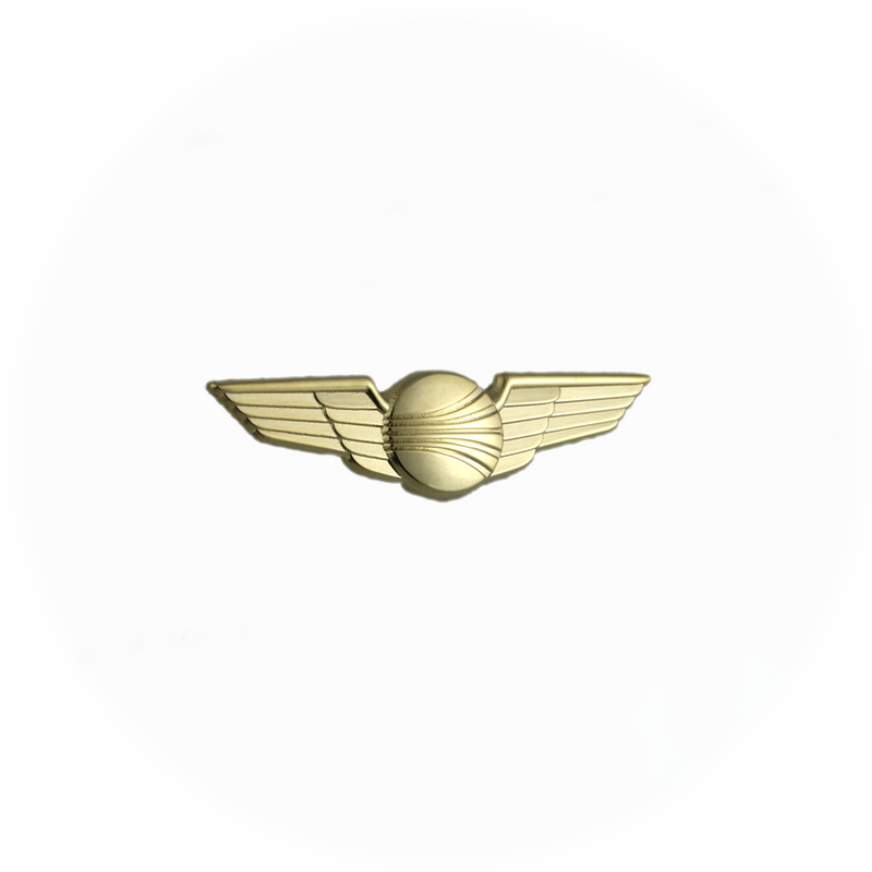 Wing Pin Continental Airlines