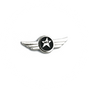 Wing Pin Jetstar