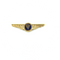 Wing Pin Ryanair (55mm)