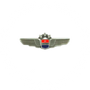 Wing Pin United Airlines (silver)