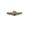 Wing Pin United Airlines (silver)