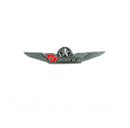 Wing Pin Virgin America - Small