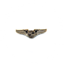 Wing Pin Airbus Company