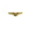 Wing Pin Embraer Company
