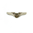 Wing Pin Embraer Company (XL)