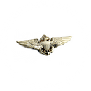 Wing Pin Naval Aviator