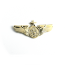 Wing Pin US AIR FORCE - USAF