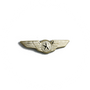 Wing Pin Pilot Star (gold)
