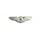 Wing Pin Pilot Star (silver)