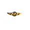 Wing Pin Boeing 737 bronze